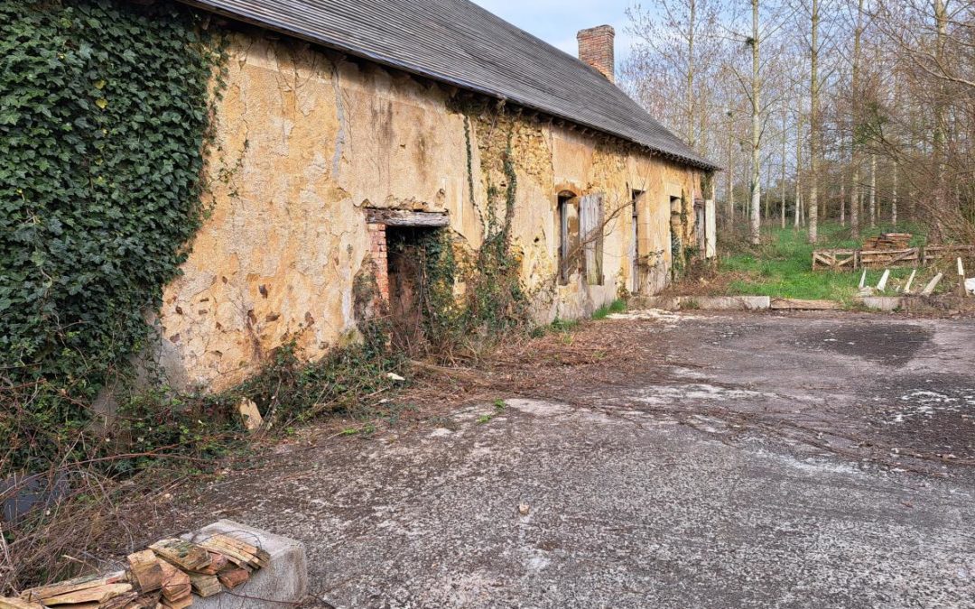 Vente Maison – 100 m² à Mézières-sur-ponthouin (72290)