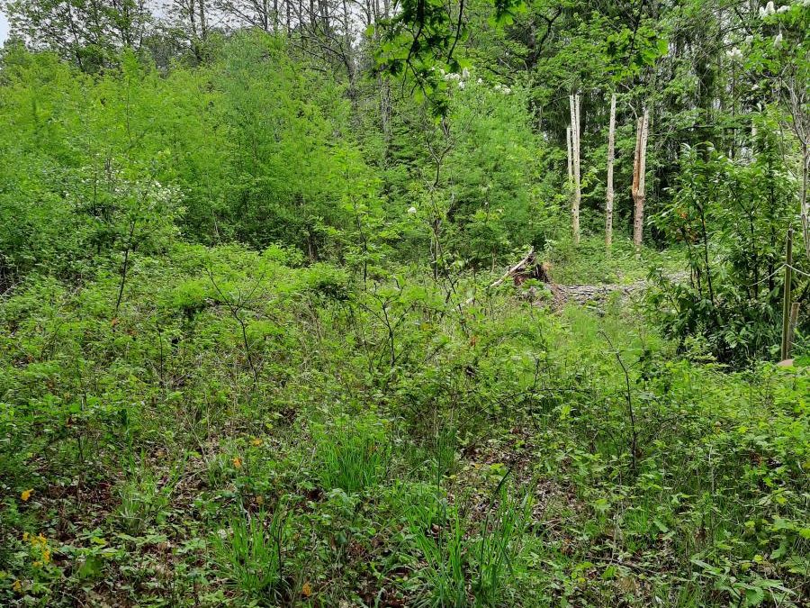 Vente Terrain – à Volnay (72440)