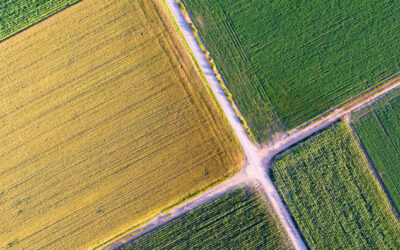 Échange de jouissance de parcelles agricoles : quelles sont les règles ?